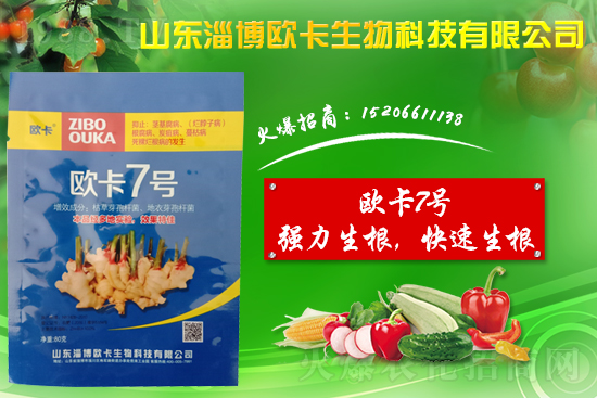 大姜爛脖子病是什么??？大姜爛脖子病用什么藥好防治