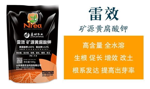 ��Ч�VԴ�S�����-�����r(n��ng)�I(y��)_02