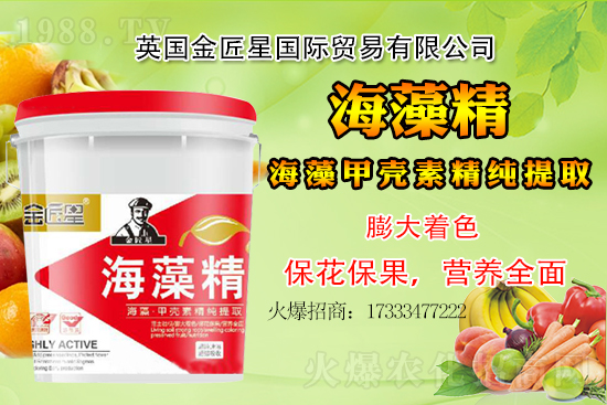 С���r��߀�����F(xi��n)��q����С�����鿂�Y(ji��)��