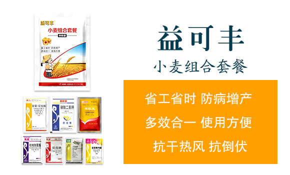 С���M���ײ�-����S-�A�S����_02