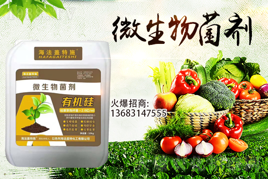 �������u��������m(x��)�͜�����������Ҫ�c��