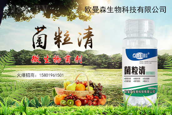 低溫辣椒“灰霉病”易發(fā)生，如何識(shí)別與防治辣椒灰霉病