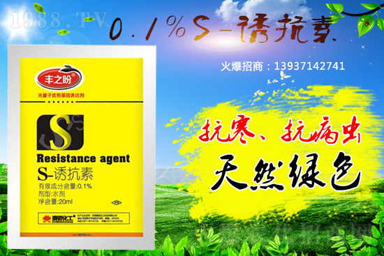 �P��ֲ���{����S-�T���������˽���٣�