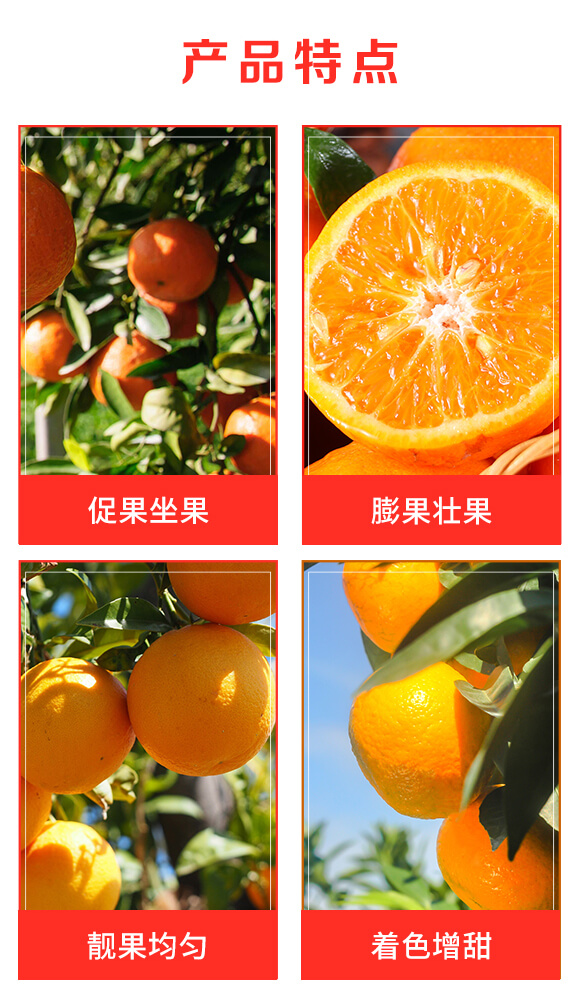 ��ֲ��Դ������-����٘�(l��)-��ʢ���S_03