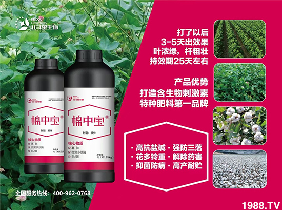 �طN�ʞ�ʲô�@ô������ʲô���c֮̎��