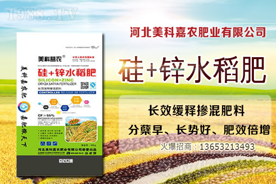 2020-12-24�Շ���(n��i)���؅^(q��)С���r������