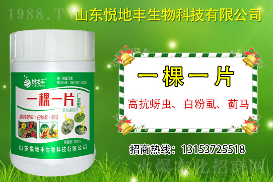 �߿����x���׷�ʭ���E�R��ʲô����һ�x������