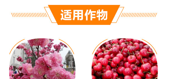 有機水溶肥料-多肽氮肥-一畫農(nóng)業(yè)_09