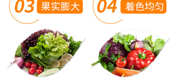 有機水溶肥料-多肽氮肥-一畫農(nóng)業(yè)_07