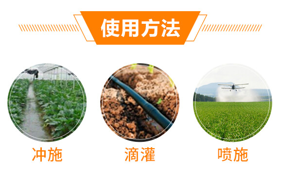 有機水溶肥料-多肽氮肥-一畫農(nóng)業(yè)_08