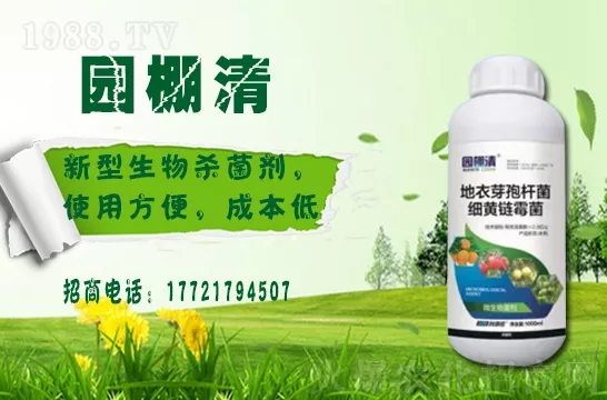 �������⛶�����Ч���Æ������������������ֲ�￹����������