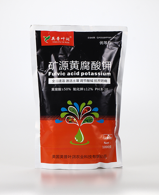 �VԴ�S�����1