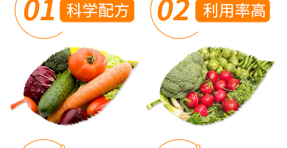 10%ʭ����-��Ȼ����_06