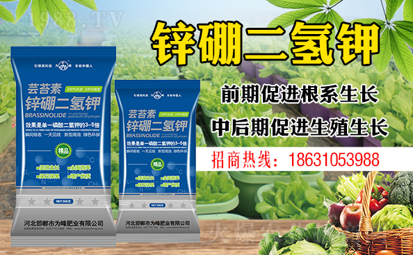 ����ƽ����ԓ���ӝ�ˮ����ʲôˮ����