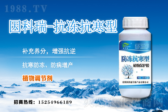 ���յ��ȃr(ji��)������Xһ����2020��12��9�յ��ȃr(ji��)������