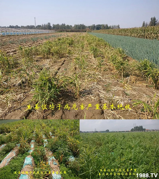     �l(f��)�������a(ch��n)Ʒ������أ�n������ʽ���ؠ����Ӳ����Ñ���������Ч����������