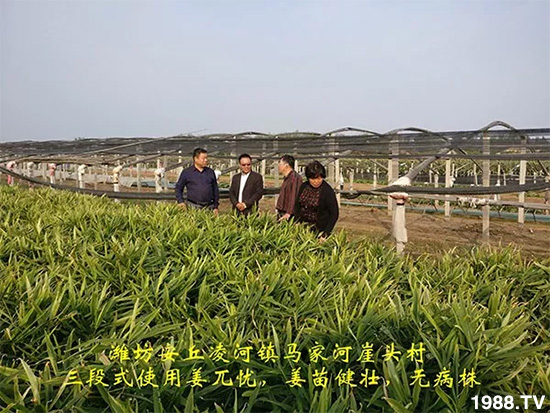     �l(f��)�������a(ch��n)Ʒ������أ�n������ʽ���ؠ����Ӳ����Ñ���������Ч����������