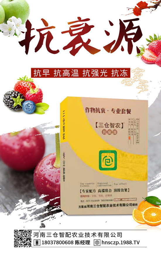 ���·��m�ϷNֲʲô�߲������·��߲˷Nֲע�����(xi��ng)��