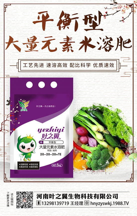 ĵ��ʲô�r���_����������Lĵ���_���r�g��