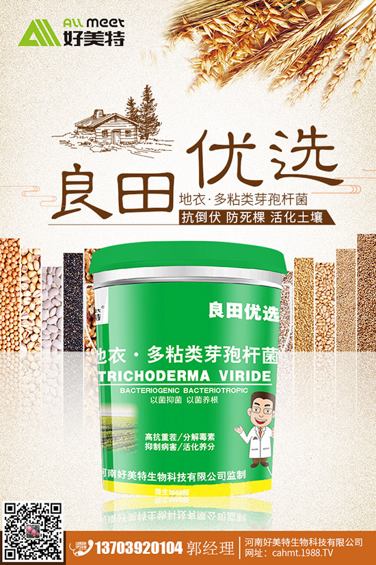 番茄青皮果到底什么原因？番茄青皮果如何有效預防？