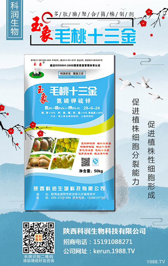     ���裺�����B�m(x��)�q�r�����L(f��ng)�U�����2020-3-13��������r��