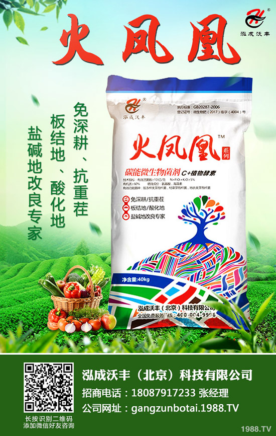 ��Ҋ�������ɺ��x����Щ���������ɺ��x������磿