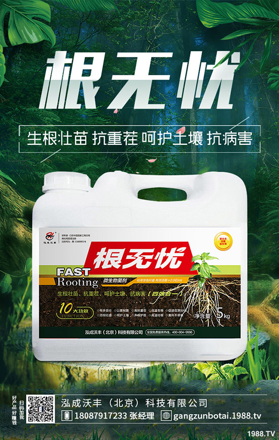 豆角鉆心蟲危害大、抗性大怎么辦？豆角鉆心蟲綜合防治！