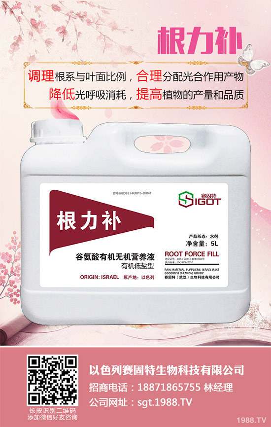 小麥春季常見的病害有哪些？該如何防治？春季小麥病害防治方法介紹