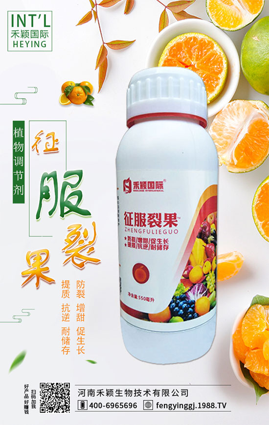 柑橘什么時(shí)間適宜栽種？柑橘肥水管理有哪些？