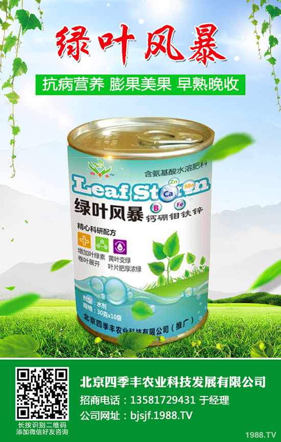 �����׷۲�����y�����������׷۲��l(f��)��ԭ�򼰷��Σ�