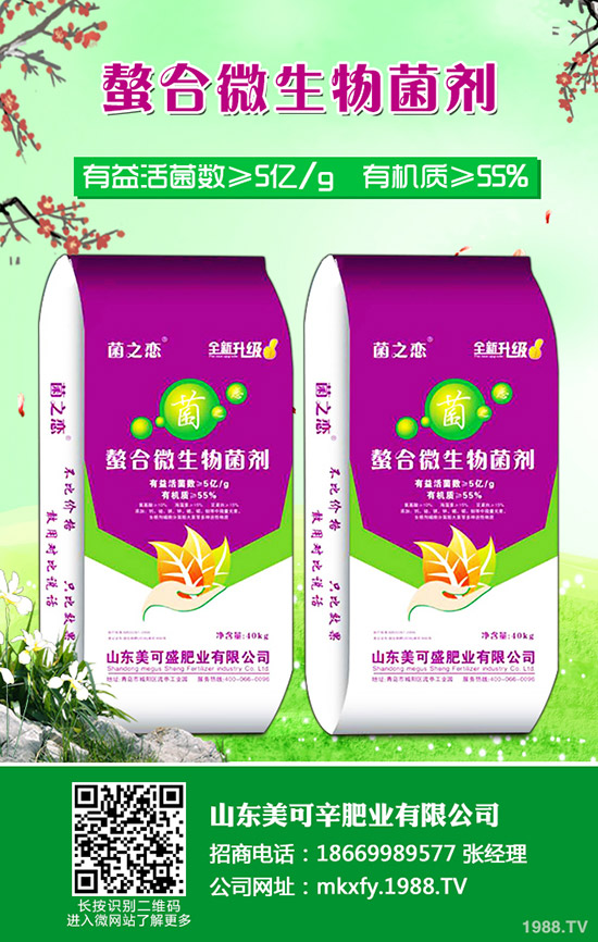     ⛷ʃr(ji��)�����w׃������������⛷������߄��A(y��)�y2020-3-21