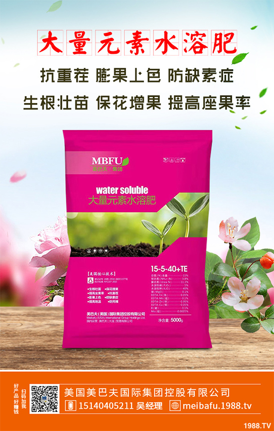 春季花椒樹常見的病蟲害有哪些？該如何防治？花椒病害的發(fā)生與防治