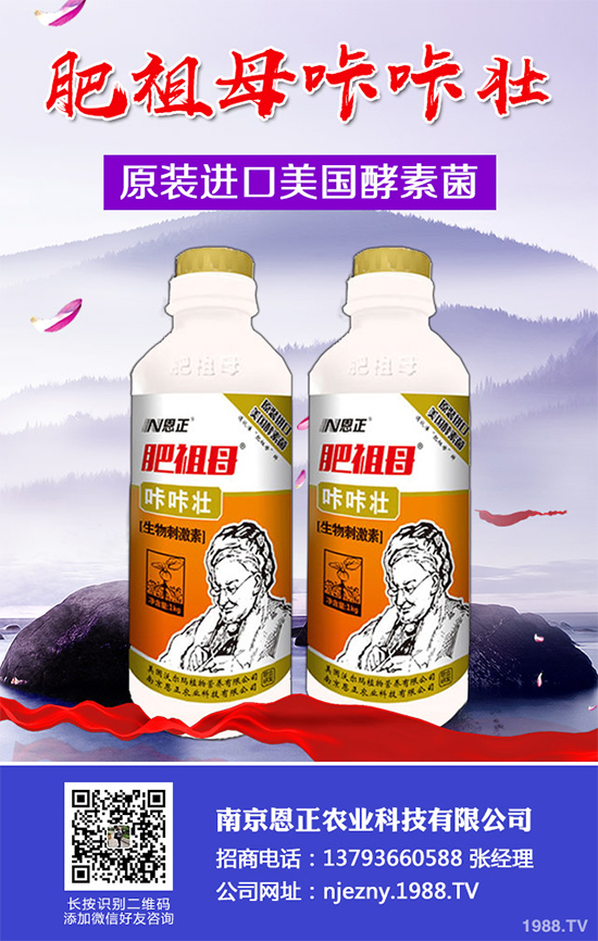 春季花椒樹常見的病蟲害有哪些？該如何防治？花椒病害的發(fā)生與防治
