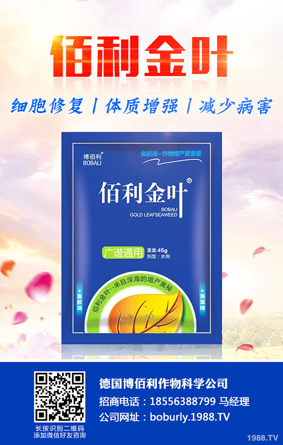 ��������A(y��)���ʺ����l(f��)���ʺ�������a(b��)����