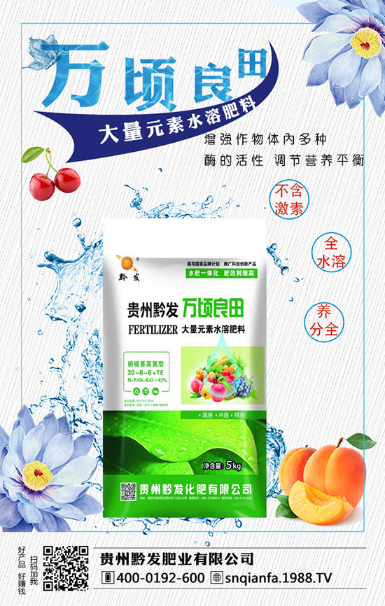 西蘭花育苗技術(shù)有哪些，西蘭花育苗的注意事項！