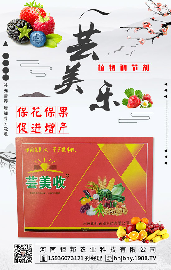 �����׽�����ʲôΣ���������׽����ķ��δ�ʩ��