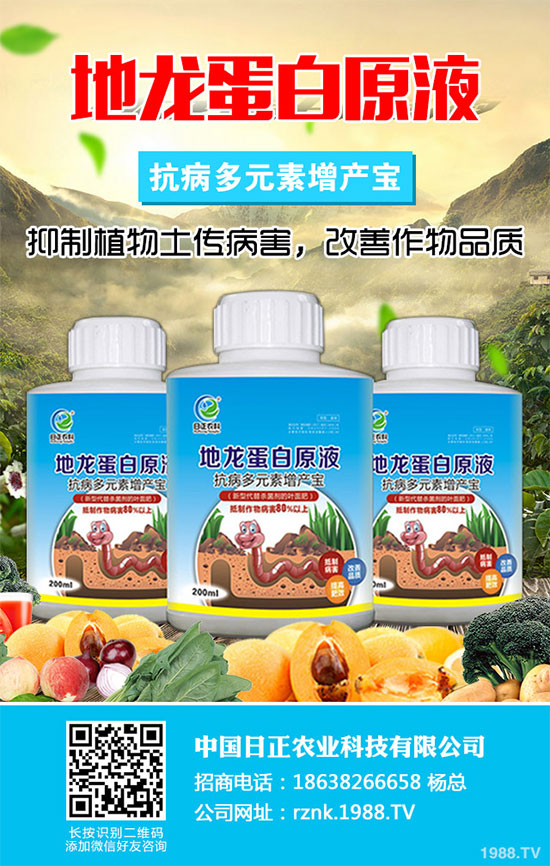 ������ΰ����r������2020�����°���ָ��