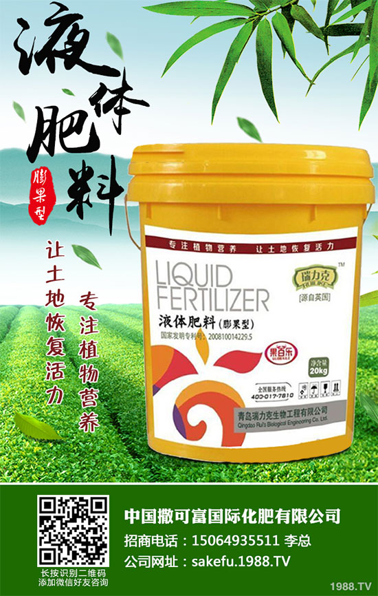 ������ΰ����r������2020�����°���ָ��