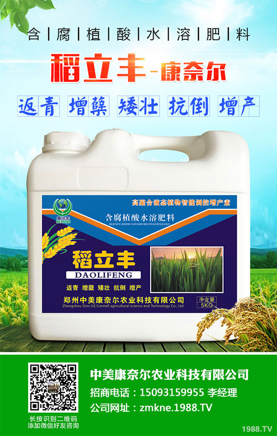 С�����·����������������ж��Ӱ���ԓ����a(b��)�ȣ�С�����·��r(n��ng)��ָ��