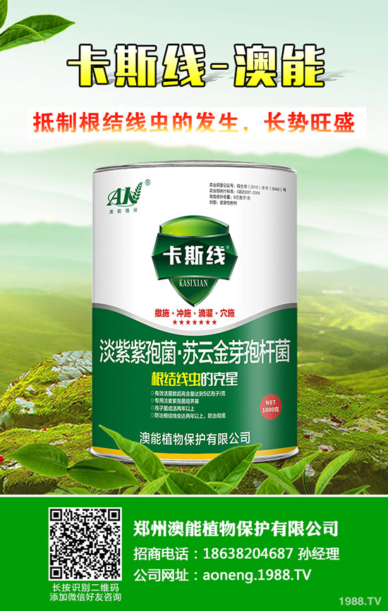 南瓜種植時間是什么時候？南瓜的種植技巧！