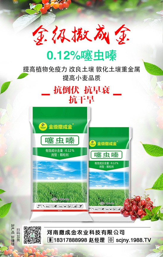 白菜畝產(chǎn)產(chǎn)量高，施肥方法有哪些？