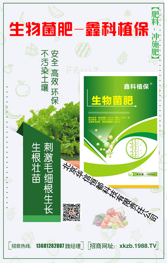 春節(jié)白菜施肥要點(diǎn)，提升白菜產(chǎn)量