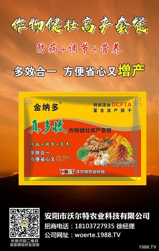 ������ô�N����������ѷNֲ�r(sh��)�g�����༼�g(sh��)��