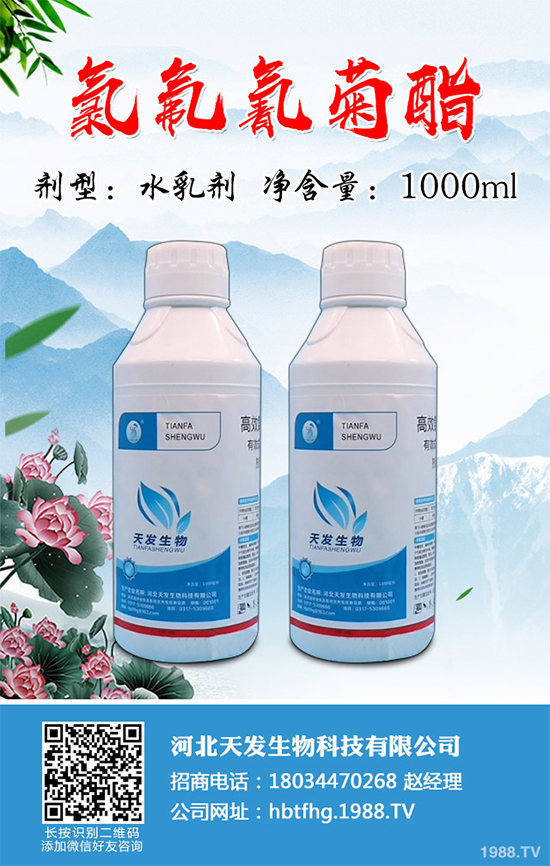 ����(n��i)���x���r(ji��)�������߄�(sh��)