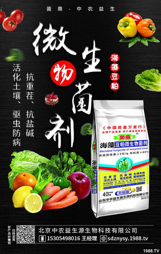     �����÷ʻ����Y(ji��)��������⛷ʃr���߄��A(y��)�y2020-4-13