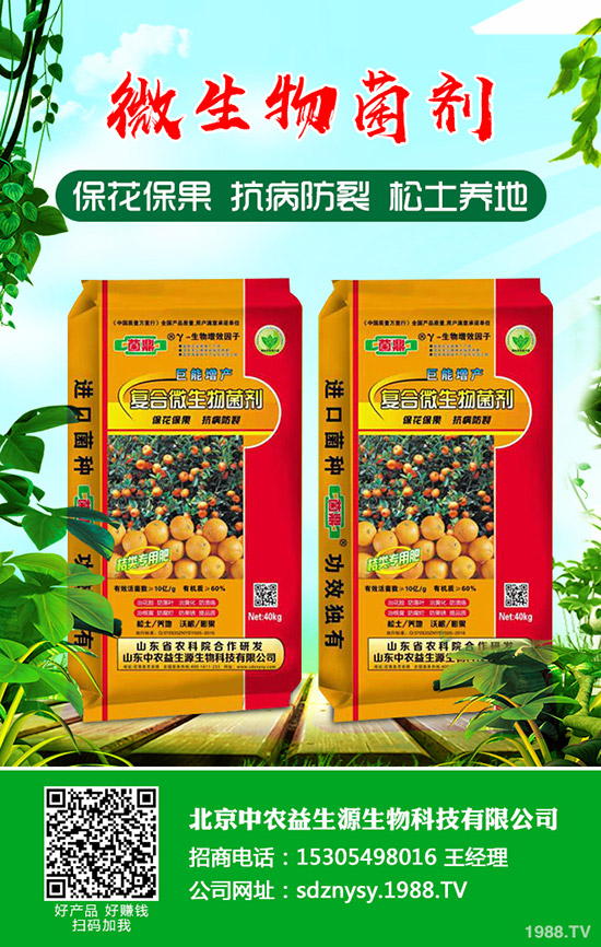     С���к�����Ҫ��������Щ����η��������μ��g(sh��)ָ��(d��o)��Ҋ����Щ��