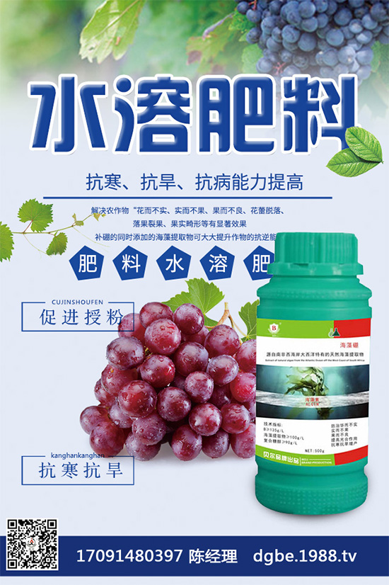 ¶������ԓ�������������¶�����ϸ߮a���༼�g