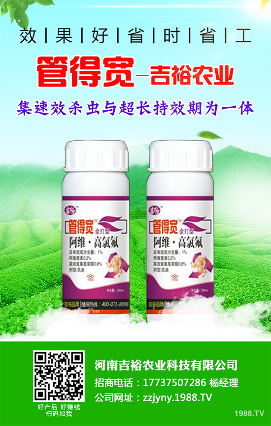 �����������x�������������������g(sh��)����