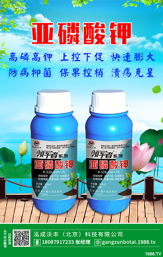 �S�Ϗ�����ʲôԭ�������S�Ϗ��ϸ���Ҫ�E��