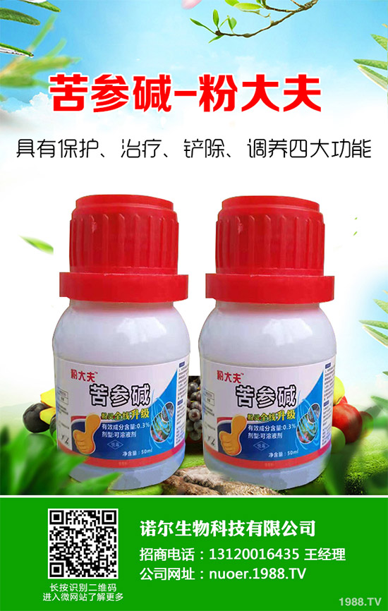 �{�����ӵă�(y��u)�ݣ����x���δ��ֲ���Ј��д�������